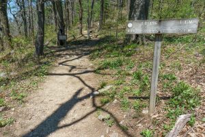 Table Rock and Mountains to Sea Trails