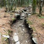 Eroded Trail on Calloway Peak