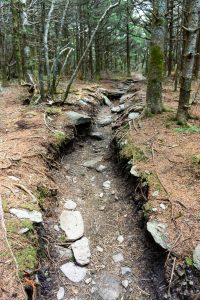 Eroded Trail on Calloway Peak