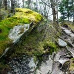 Mossy Rock near Calloway Peak