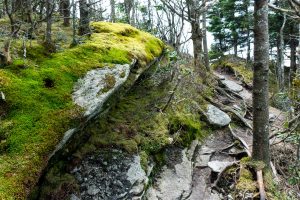 Mossy Rock near Calloway Peak