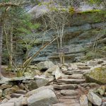 Profile Trail at Shanty Spring