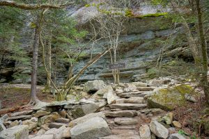 Profile Trail at Shanty Spring