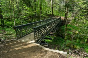 Bridge on the Profile Trail