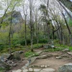Profile Campsite