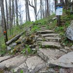 Steps to the Profile Campsite