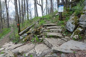 Steps to the Profile Campsite