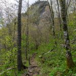 Cliffs Above Profile Trail