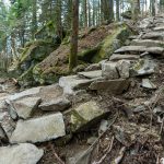 Stone Steps and Switchback on Grandfather Mountain