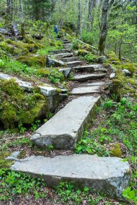 Stone Walkway on the Profile Trail