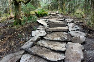 Stone Work on the Profile Trail