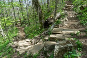 Switchback on the Profile Trail