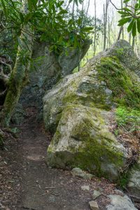 Profile Trail Through Rock Cleft