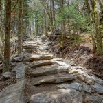 Steps on the Upper Section of Profile Trail