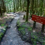 Sign for the Balsam Nature Trail