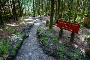 Sign for the Balsam Nature Trail