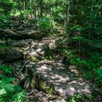 Rocky Section of Big Tom Trail