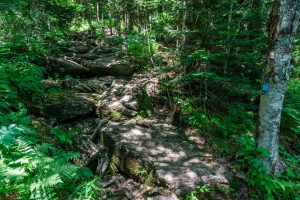 Rocky Section of Big Tom Trail