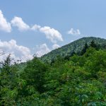 View of Big Tom (Peak) from Big Tom Trail