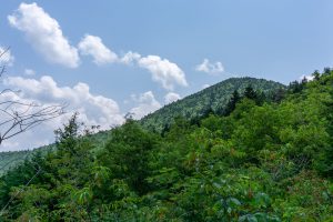 View of Big Tom (Peak) from Big Tom Trail