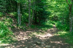 Junction of Buncombe Horse Range and Big Tom Trails