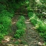 Buncombe Horse Range Trail