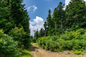 Power Lines at Commissary Hill