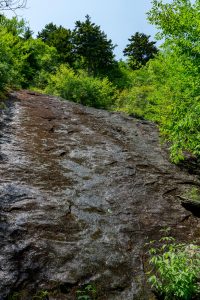 Rock Face Beside the Buncombe Horse Range Trail