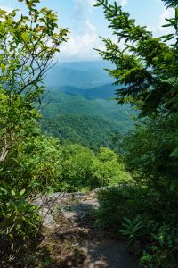 View from Buncombe Horse Range Trail