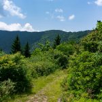 View from Buncombe Horse Range Trail