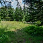 Flat Spaces for Camping at Commissary Hill