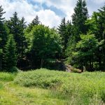 Campsites at Commissary Hill