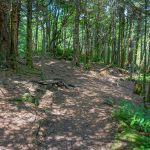 Big Tom/Deep Gap/Black Mountain Crest Trail Junction