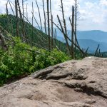 Summit of Big Tom