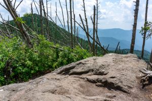 Summit of Big Tom