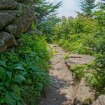 Deep Gap Trail on Mount Craig