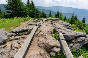 Log Guides on Mount Craig