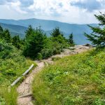 Deep Gap Trail on Mount Craig