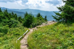 Deep Gap Trail on Mount Craig