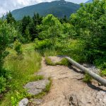 View of Mount Mitchell from Mount Craig