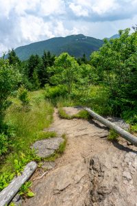 View of Mount Mitchell from Mount Craig