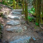 Rock Steps on the Deep Gap Trail