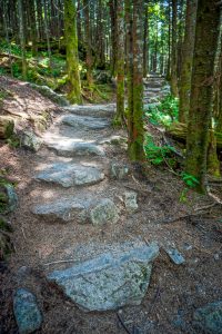 Rock Steps on the Deep Gap Trail