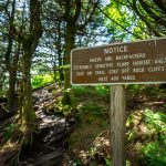 Sensitive Habitat on Mount Craig