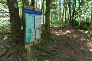 Sign for the Deep Gap Trail