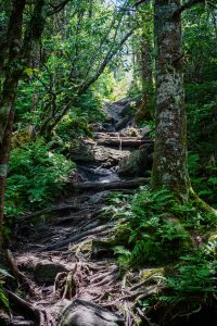 Steep Section of Deep Gap Trail