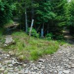 Mount Mitchell - Buncombe Horse Range Trail Split