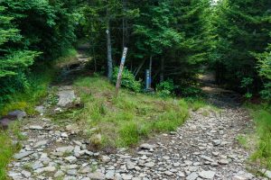 Mount Mitchell - Buncombe Horse Range Trail Split