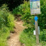 Mount Mitchell Trail at Commissary Hill