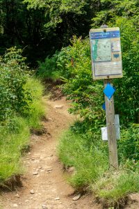 Mount Mitchell Trail at Commissary Hill